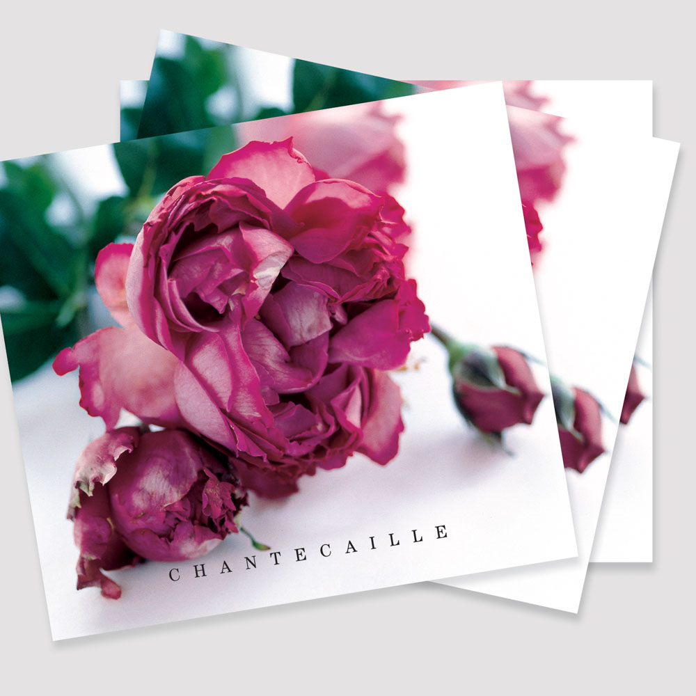 Chantecaille Skincare Booklet